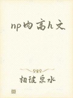 np肉高h文