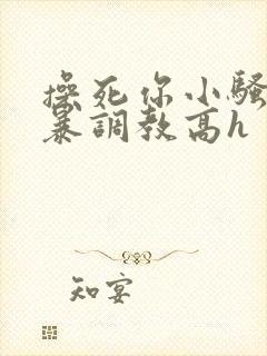 操死你小骚货粗暴调教高h