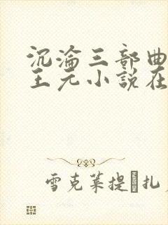 沉沦三部曲陈洁王元小说在线阅读