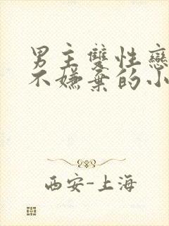 男主双性恋女主不嫌弃的小说封面