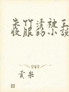 朱竹清被王二狗收服的小说