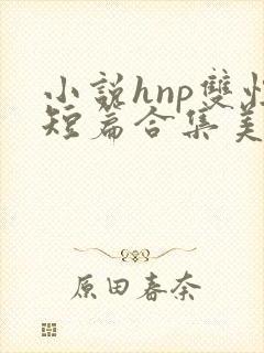 小说hnp双性短篇合集美人封面