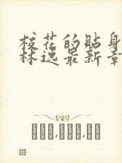 校花的贴身高手林逸最新章节封面