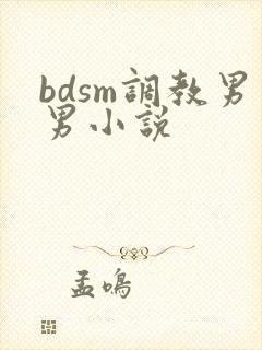 bdsm调教男男小说