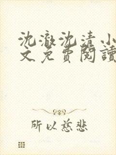 沈澈沈清小说全文免费阅读最新章节封面