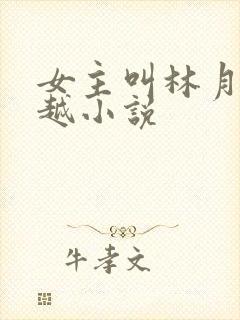 女主叫林月的穿越小说