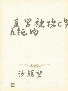 直男被攻c哭高h纯肉