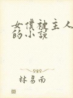 女仆被主人欺负的小说封面