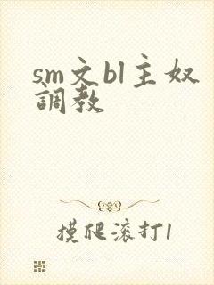 sm文bl主奴调教