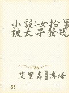 小说:女扮男装被太子发现后