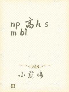 np 高h sm bl