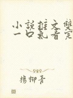 小说推文双女主一口气看完已完结