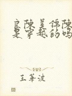 良陈美锦陈玄越是穿越的吗封面