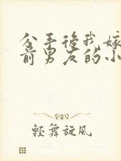 分手后我嫁给了前男友的小叔小说