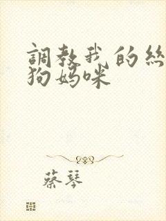 调教我的丝袜母狗妈咪