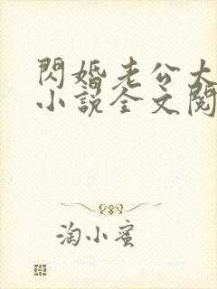 闪婚老公太给力小说全文阅读