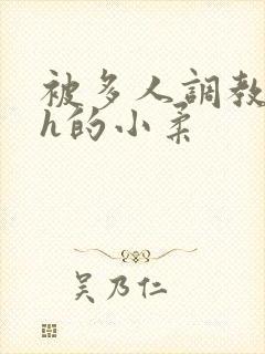 被多人调教失禁h的小柔