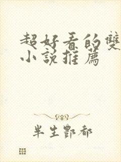 超好看的双男主小说推荐