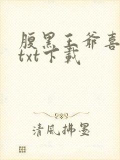 腹黑王爷喜当爹txt下载封面