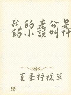 我的老公是条狗的小说叫什么