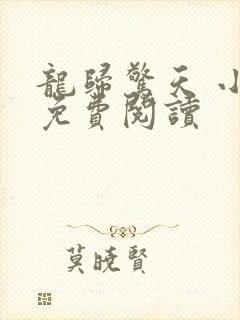 龙归惊天 小说免费阅读封面