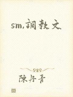 sm,调教文