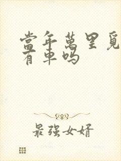 当年万里觅封侯有车吗