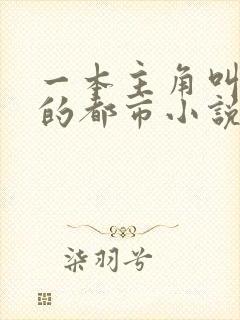 一本主角叫叶欢的都市小说封面