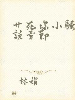 艹死你小骚货小说章节