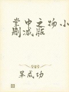 掌中之物小说无删减版