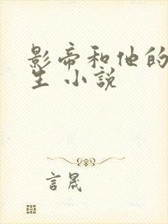 影帝和他的傅先生 小说