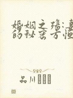 婚姻之殇:妻子的秘密方恒电子书
