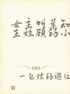 女主叫叶知秋男主姓顾的小说