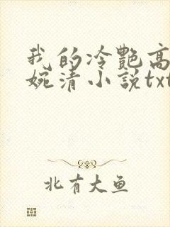 我的冷艳高官林婉清小说txt