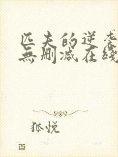 匹夫的逆袭小说无删减在线阅读封面