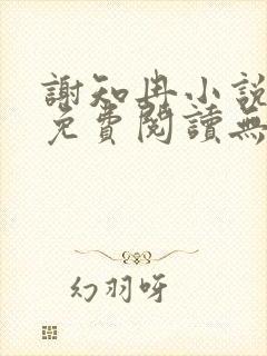 谢知冉小说全文免费阅读无弹窗