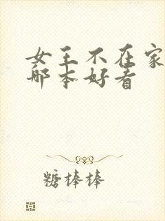 女王不在家的书哪本好看封面