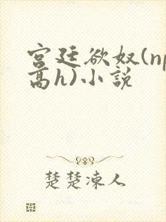 宫廷欲奴(np高h)小说