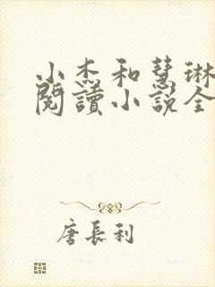 小杰和慧琳在线阅读小说全文封面