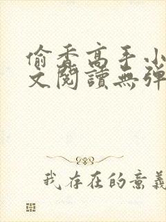 偷香高手小说全文阅读无弹窗