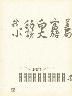 我的白富美老婆小说大结局封面