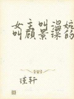女主叫温婉男主叫顾景琛的小说