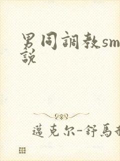 男同调教sm小说