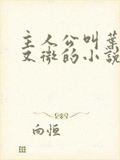 主人公叫叶玄周又微的小说