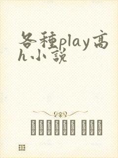 各种play高h小说