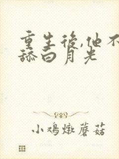 重生后,他不再舔白月光