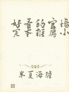 好看的官场小说完本推荐小说