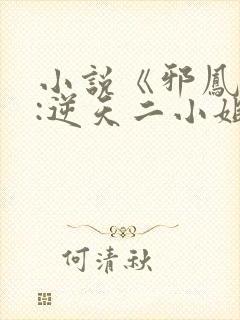 小说《邪凤重生:逆天二小姐》