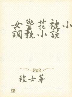 女警花被小混混调教小说封面