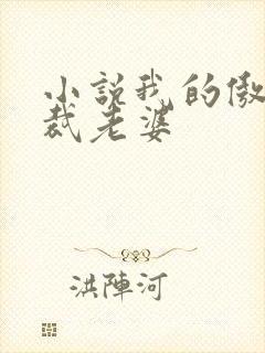 小说我的傲娇总裁老婆